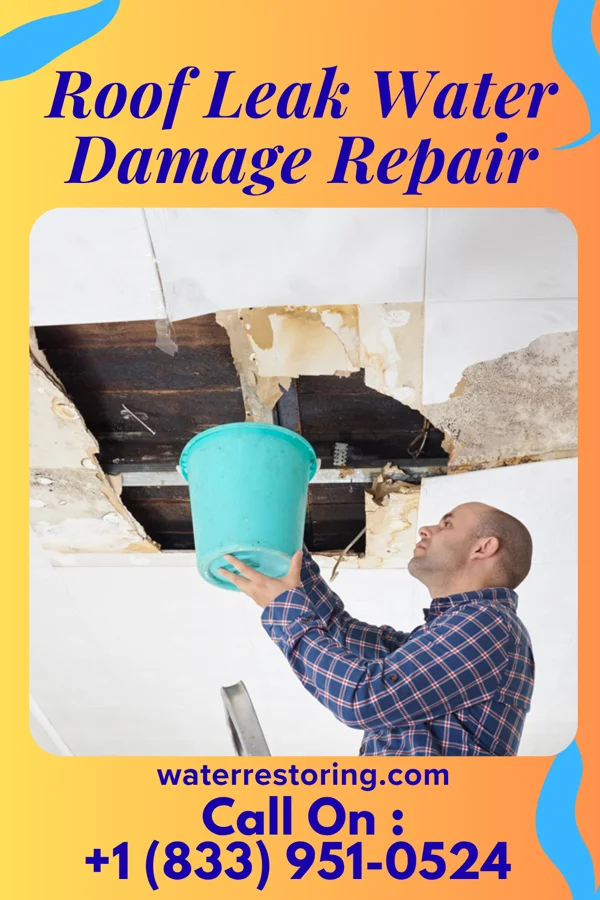 Roof Leak Water Damage Repair in Cary, MS