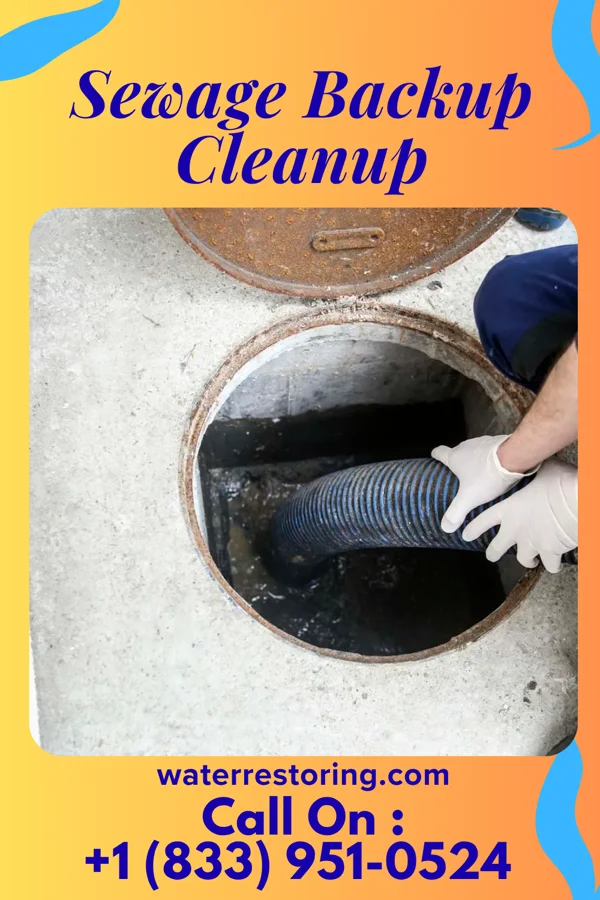 Sewage Backup Cleanup in Cary, MS