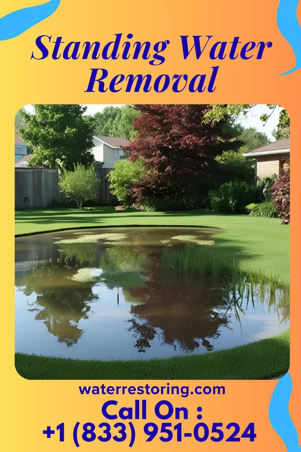 Standing Water Removal in Cary, MS